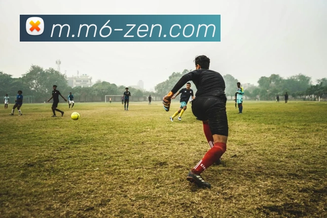 未来规划